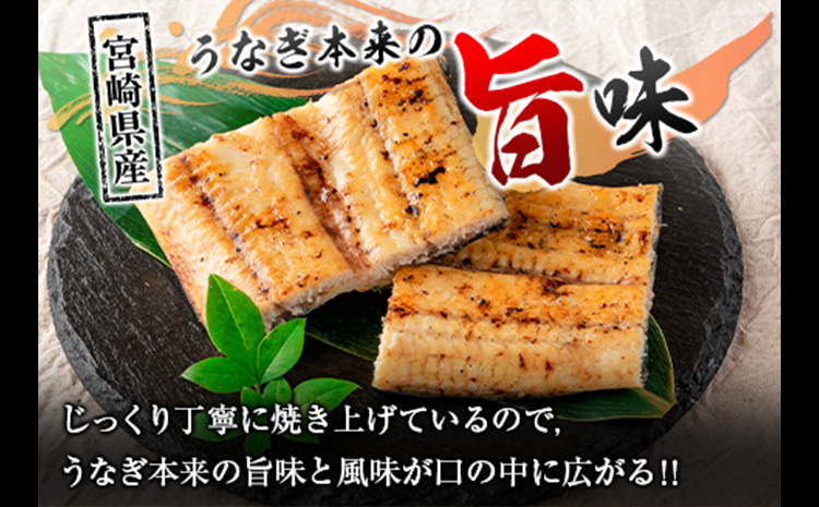 「こだま鰻」宮崎県産 うなぎ白焼き（2〜3尾）計500g以上 国産 真空パック【C418-25】