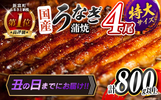 ＜丑の日までにお届け!!＞特大 うなぎ 鰻楽 国産 蒲焼 4尾 計800g以上 無頭 冷凍 簡単調理 個包装 贈答品 ギフト ［7/15～7/26にお届け］【C388-800-ushi】