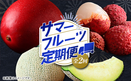 サマーフルーツ定期便 全2回 ＜メロン・マンゴー＆ライチ＞※2026年6月開始 旬 果物【E242】