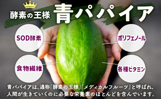 青パパイアドレッシング 2種（青パパイア・青パパイアカレー）合計4本セット 国産 万能 調味料 食べ比べ【A295】