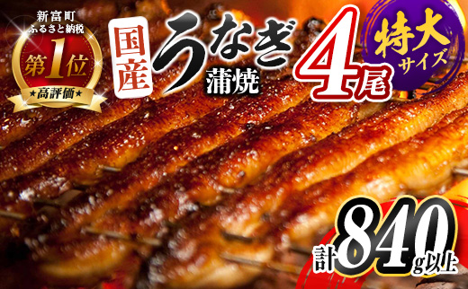 ［2026年9月お届け］特大 うなぎ 鰻楽 国産 蒲焼 4尾 無頭 計840g以上 期間限定 数量限定【C388-840-09】