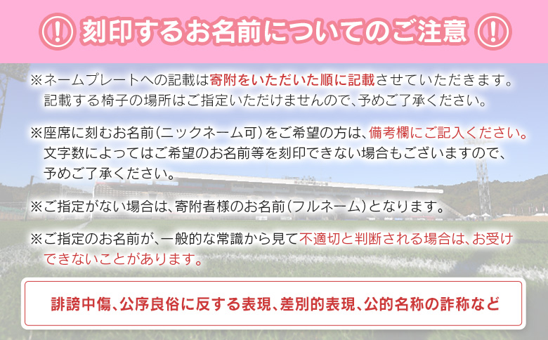 ＜寄附のみ＞ 返礼品なし いちご宮崎新富サッカー場 改修整備 1口 30,000円 J2昇格 テゲバジャーロ宮崎 サッカー Jリーグ J2 スポーツ 社会貢献 地域活動 応援寄附 ファン サポーター
