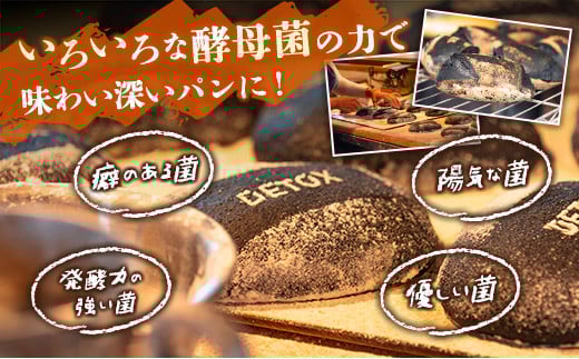 薪窯と自家製酵母で焼く「hitohi」パンセット 合計6個【B605】