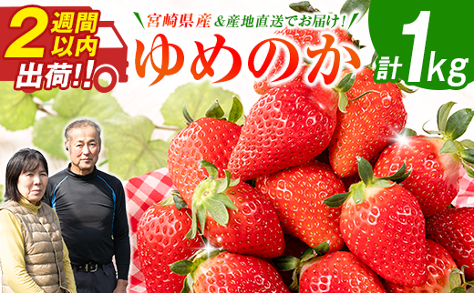 ＜2週間以内出荷!!＞宮崎県産 いちご「ゆめのか」計1kg（250g×4パック）フルーツ 期間限定 デザート【B701】