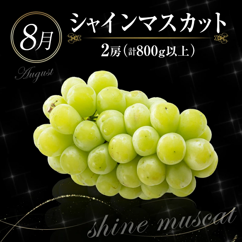 ããµãããšçŽçšãååœå®®åŽ ãç¹éžãæ¬ã®ãã ãã®å®æäŸ¿ 12ãµæã³ãŒã¹ãF84-25ã