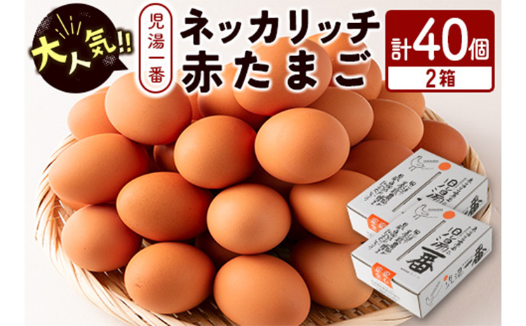 ＜児湯養鶏自慢の卵 ＞ネッカリッチ赤たまご「児湯一番」計40個（20個入×2箱）【B19】
