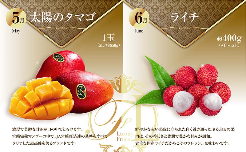 éæåºãã§ã€ã¹ïŒãã ãã®å®æäŸ¿Vol.6ïŒå
š12åïŒåœç£ ãã«ãŒã æç© 1å¹Žé æ¯æãå±ã ç£å°çŽéãG49-26ã