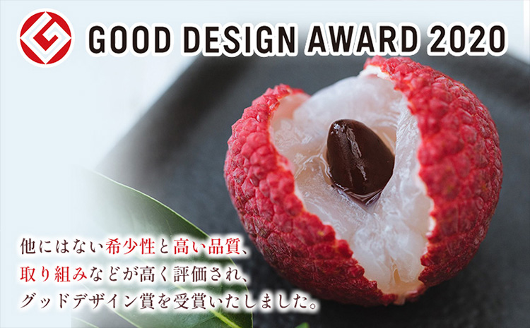 《先行予約》希少！国産＜新富ライチpremium50＞50g以上×8玉 国産 ブランド フルーツ 果物 贈答品【C52-2026】