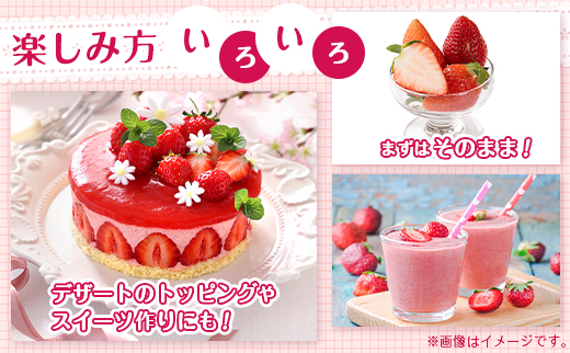 ＜2週間以内出荷!!＞宮崎県産 いちご「ゆめのか」計1kg（250g×4パック）フルーツ 期間限定 デザート【B701】