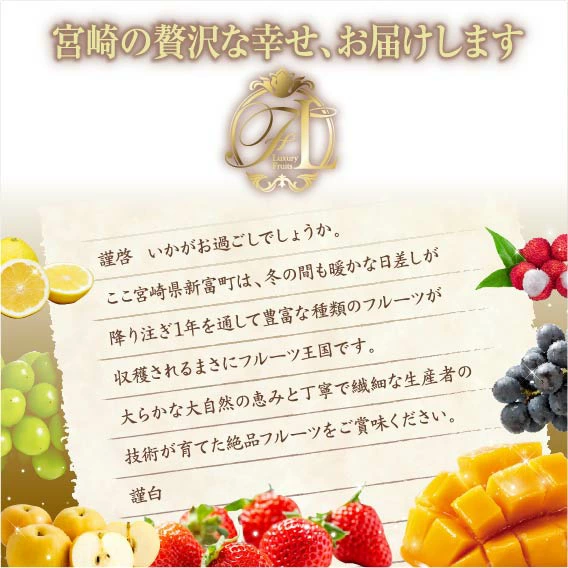 【ふるさと納税】旬のくだもの定期便 「特選コース」 全12回 マンゴー いちご マスカット 国産 宮崎【G52】