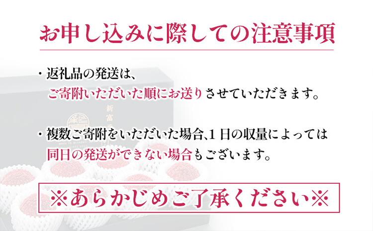 《先行予約》希少！国産＜新富ライチpremium50＞50g以上×8玉 国産 ブランド フルーツ 果物 贈答品【C52-2026】