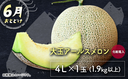 ãµããŒãã«ãŒãå®æäŸ¿ å
š2å ïŒã¡ãã³ã»ãã³ãŽãŒïŒã©ã€ãïŒâ»2026幎6æéå§ æ¬ æç©ãE242ã