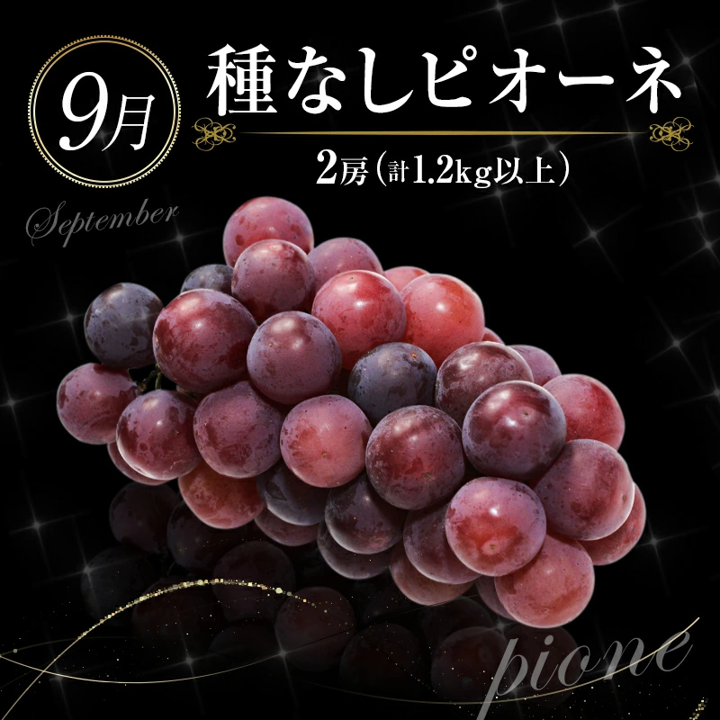 ããµãããšçŽçšãååœå®®åŽ ãç¹éžãæ¬ã®ãã ãã®å®æäŸ¿ 12ãµæã³ãŒã¹ãF84-25ã