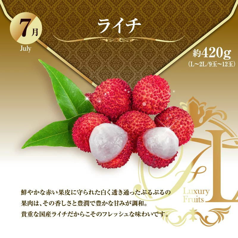 【ふるさと納税】旬のくだもの定期便 「極上コース」 全12回 マンゴー いちご マスカット 国産 宮崎【G53】