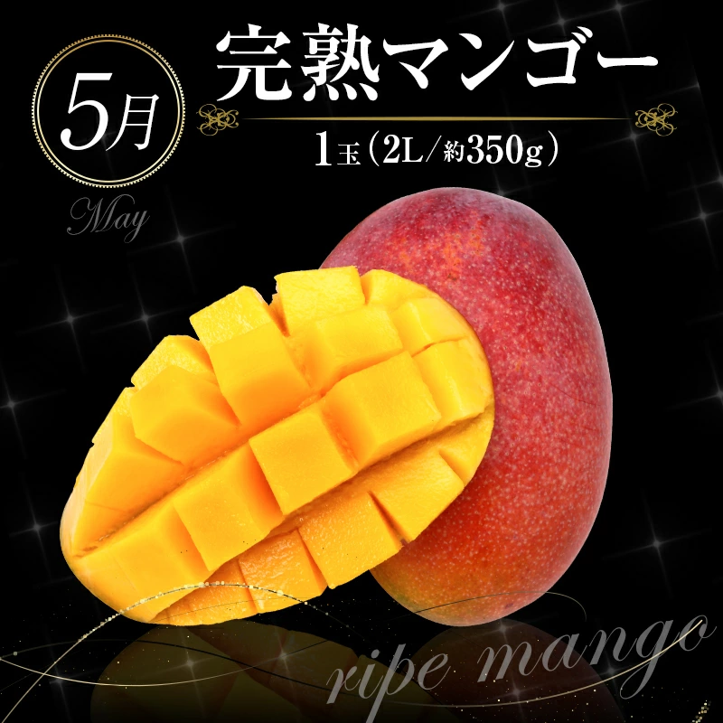 ããµãããšçŽçšãååœå®®åŽ ãç¹éžãæ¬ã®ãã ãã®å®æäŸ¿ 12ãµæã³ãŒã¹ãF84-25ã