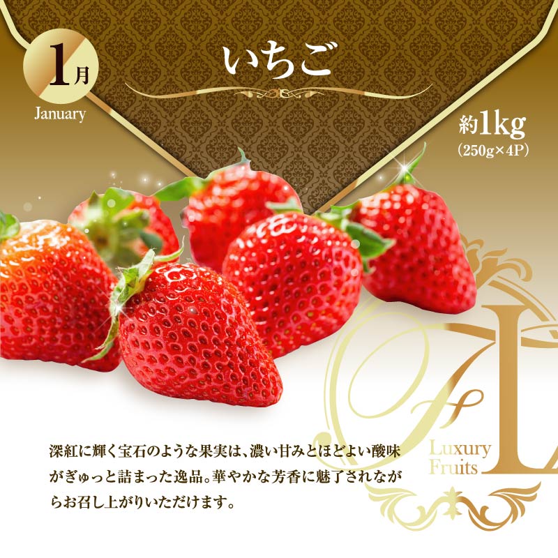 ããµãããšçŽçšãæ¬ã®ãã ãã®å®æäŸ¿ ãå³éžã³ãŒã¹ã å
š12å ãã³ãŽãŒ ãã¡ã ãã¹ã«ãã åœç£ å®®åŽ