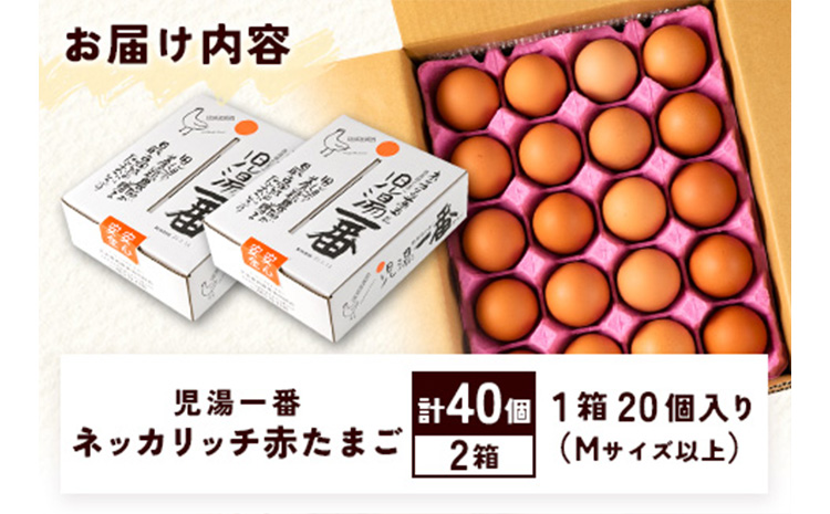 ïŒå
湯é€é¶èªæ
¢ã®åµ ïŒããã«ãªããèµ€ããŸããå
湯äžçªãèš40åïŒ20åå
¥Ã2ç®±ïŒãB19ã