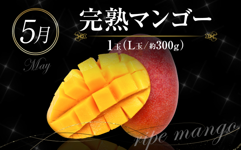 å
š6åååœå®®åŽ æ¬ã®ãã«ãŒãå®æäŸ¿ 奿°æã³ãŒã¹ãE143ã