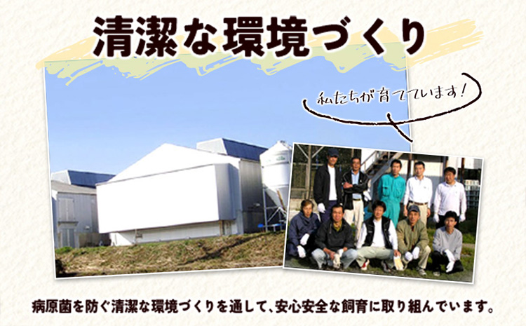 ＜児湯養鶏自慢の卵 ＞ネッカリッチ赤たまご「児湯一番」計60個（20個入×3箱）【B23】