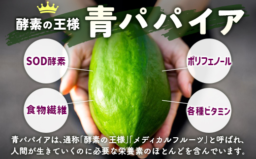 酵素の王様 青パパイア酵素シロップ入り 乳酸菌朝活ドリンク『アサカツ』甘酒飲料（150g×7本）国産 グリーンパパイア パパイヤ【A325】