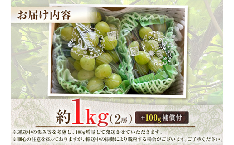 先行予約 シャインマスカット 2房 約1kg+100g補償付 宮崎県産【B606-25】