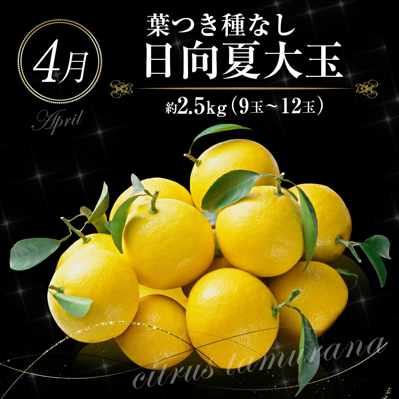 ããµãããšçŽçšãååœå®®åŽ æ¬ã®ãè³é«ããã«ãŒãå®æäŸ¿ 12ãæã³ãŒã¹ãG25-25ã