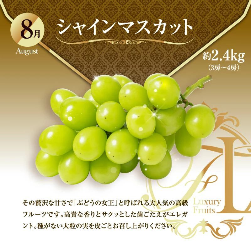 【ふるさと納税】旬のくだもの定期便 「極上コース」 全12回 マンゴー いちご マスカット 国産 宮崎【G53】