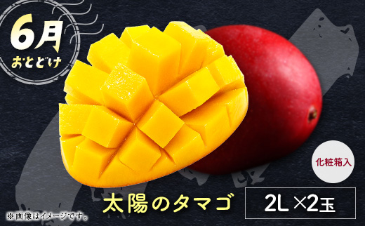 サマーフルーツ定期便 全3回＜メロン・マンゴー・ライチ＞ ※2026年5月開始 旬 果物【E244】