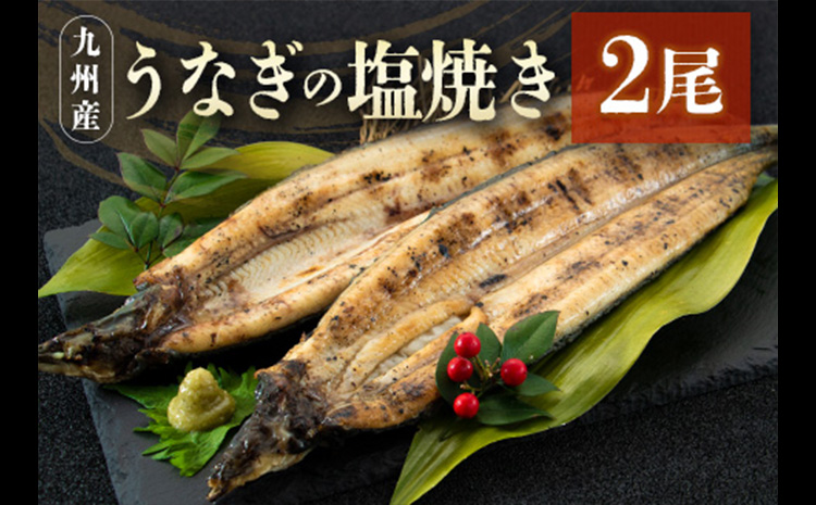 縺縺ェ縺弱ョ蝪ゥ辟シ縺 2蟆セ 蜷郁ィ320g莉・荳 荵晏キ樒肇縲燭403縲