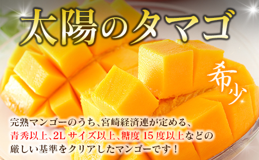 å®®åŽç¹ç£ã倪éœã®ã¿ããŽ2LÃ2çããå±ãå®æäŸ¿ïŒå
š3åïŒèš6ç ç¹ç£ åœç£ æç© ãã«ãŒã æ¬ ç£å°çŽéãF145-26ã