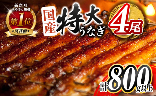 ［2026年1月お届け］特大 うなぎ 鰻楽 国産 蒲焼 4尾 無頭 計800g以上 期間限定 数量限定【C388-800-01】