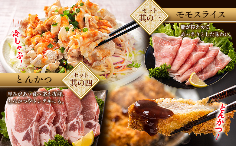 ＜2026年2月配送＞宮崎県産 豚バラエティーセット 合計4.1kg 人気 小分け 食べ比べ ボリューム 冷凍【C456-2601】