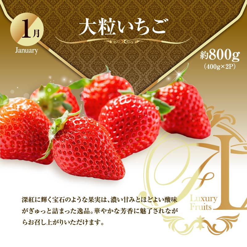 【ふるさと納税】旬のくだもの定期便 「極上コース」 全12回 マンゴー いちご マスカット 国産 宮崎【G53】