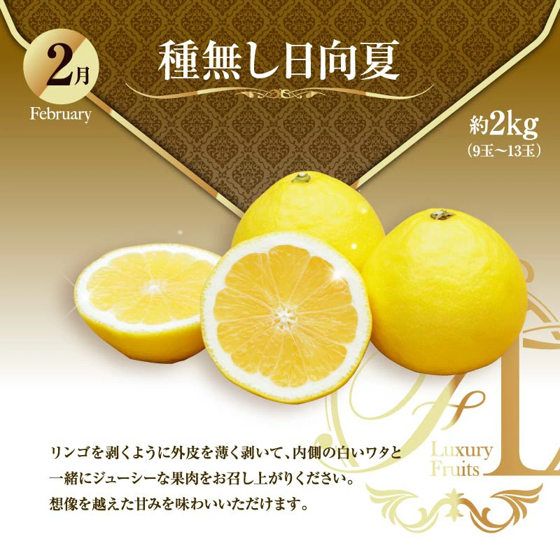 ããµãããšçŽçšãæ¬ã®ãã ãã®å®æäŸ¿ ãå³éžã³ãŒã¹ã å
š12å ãã³ãŽãŒ ãã¡ã ãã¹ã«ãã åœç£ å®®åŽ