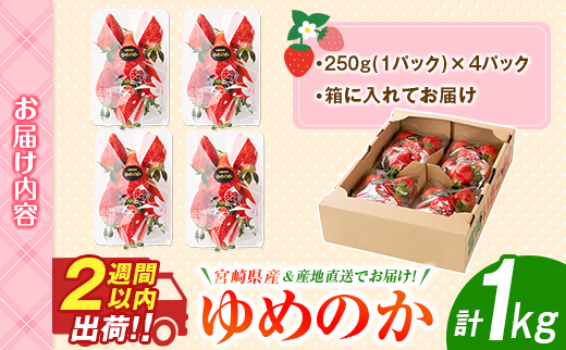 ＜2週間以内出荷!!＞宮崎県産 いちご「ゆめのか」計1kg（250g×4パック）フルーツ 期間限定 デザート【B701】
