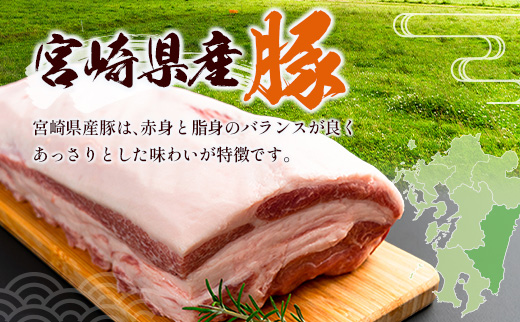 宮崎県産 豚バラエティーセット 合計4.1kg 人気 小分け 食べ比べ ボリューム 冷凍 国産 豚肉 ※ご入金月の翌月中に出荷【C456】