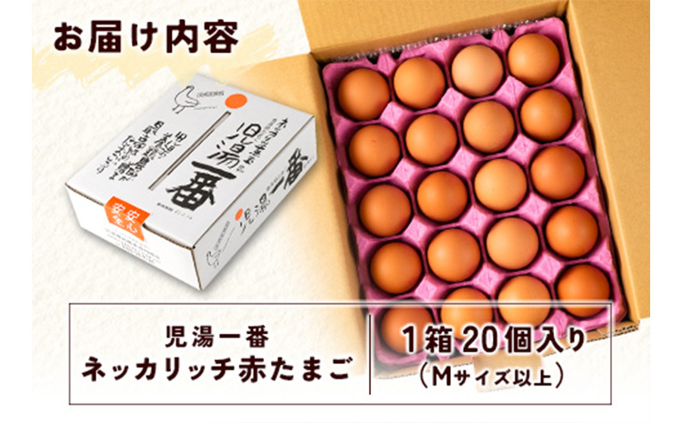 ＜児湯養鶏自慢の卵 ＞ネッカリッチ赤たまご「児湯一番」20個 1箱【A14】