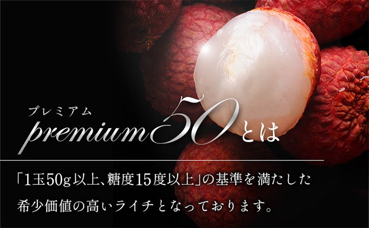 《先行予約》希少！国産＜新富ライチpremium50＞50g以上×8玉 国産 ブランド フルーツ 果物 贈答品【C52-2026】