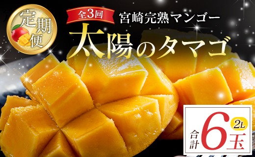 宮崎特産「太陽のタマゴ2L×2玉」お届け定期便（全3回）計6玉 特産 国産 果物 フルーツ 旬 産地直送【F145-26】