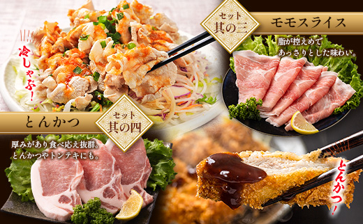 宮崎県産 豚バラエティーセット 合計2kg 人気 小分け 食べ比べ ボリューム 冷凍 国産 豚肉 ※ご入金月の翌月中に出荷【B690】