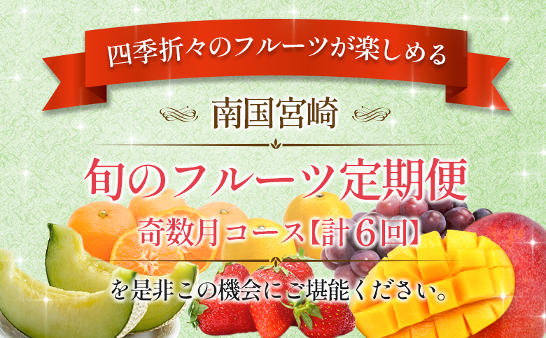 å
š6åååœå®®åŽ æ¬ã®ãã«ãŒãå®æäŸ¿ 奿°æã³ãŒã¹ãE143ã