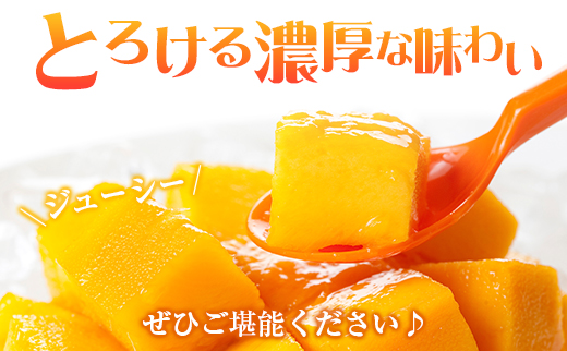 å®®åŽç¹ç£ã倪éœã®ã¿ããŽ2LÃ2çããå±ãå®æäŸ¿ïŒå
š3åïŒèš6ç ç¹ç£ åœç£ æç© ãã«ãŒã æ¬ ç£å°çŽéãF145-26ã