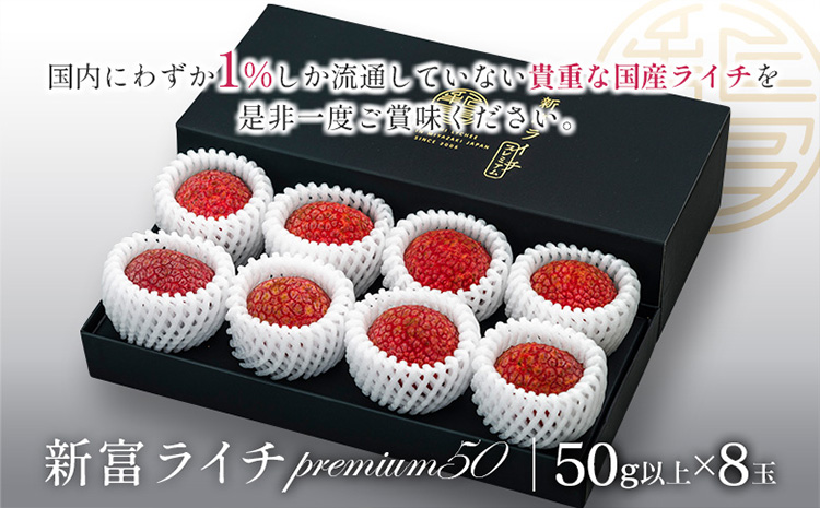《先行予約》希少！国産＜新富ライチpremium50＞50g以上×8玉 国産 ブランド フルーツ 果物 贈答品【C52-2026】