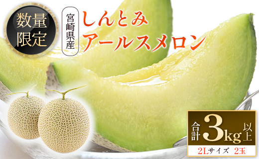 ＜数量限定＞しんとみアールスメロン 2L2玉 計3kg以上 先行予約 国産 フルーツ 果物 宮崎県産 ※2026年5月〜7月の期間内に出荷【B520-02】
