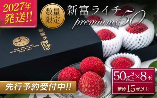 《先行予約》希少！国産＜新富ライチpremium50＞50g以上×8玉 国産 ブランド フルーツ 果物 贈答品【C52-2027】