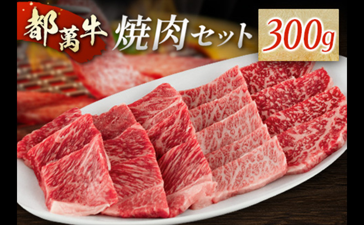 赤身主体の黒毛和牛＜都萬牛＞焼肉セット 300g【B575】