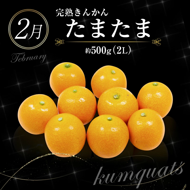 ããµãããšçŽçšãååœå®®åŽ æ¬ã®ãã ãã®å®æäŸ¿ 12ãæã³ãŒã¹ãF83-25ã