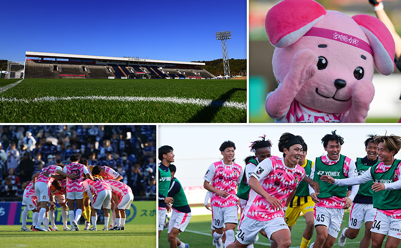 ＜寄附のみ＞ 返礼品なし いちご宮崎新富サッカー場 改修整備 1口 30,000円 J2昇格 テゲバジャーロ宮崎 サッカー Jリーグ J2 スポーツ 社会貢献 地域活動 応援寄附 ファン サポーター