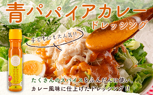 青パパイアドレッシング 2種（青パパイア・青パパイアカレー）合計4本セット 国産 万能 調味料 食べ比べ【A295】