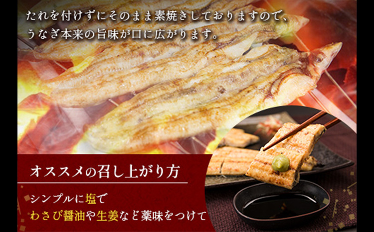 ◇［玄人の一品］うなぎ白焼き 2尾 合計300g以上 宮崎県産鰻 化粧箱入り 蒲焼タレ付【C427】